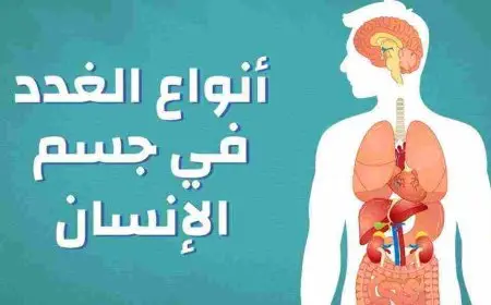 انواع الغدد في جسم الانسان