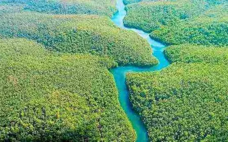 أطول أنهار العالم