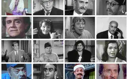 مسلسلات مصرية قديمة في السبعينات