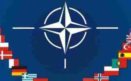 ما هو حلف الناتو