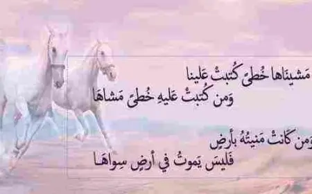 رأي المعاصرين بقضية انتحال الشعر