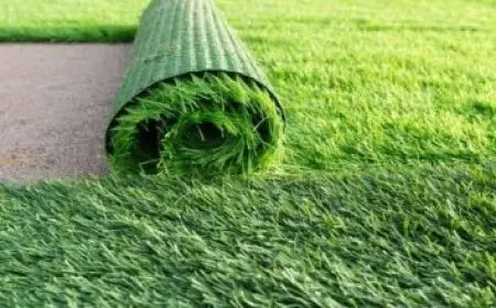 كلمات قصيدة تفاخر الماء والهواء للشاعر عبد الغني النابلسي