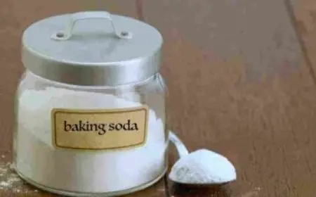 أطول نهر في فرنسا