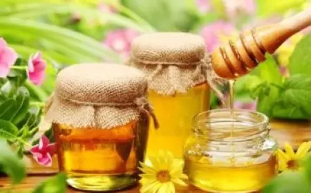 احدث سيارات في العالم لعام 2024