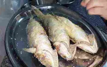 ما هو الفسيخ