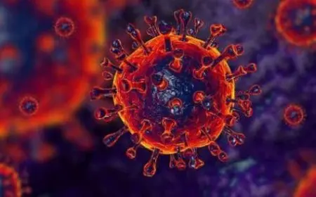 لماذا سمي متحور كورونا الجديد أو ميكرون بهذا الاسم