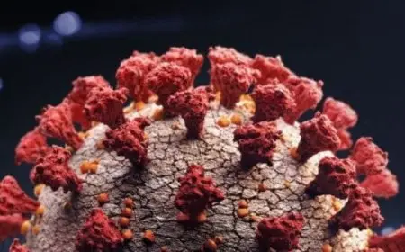 ما هو متحور أوميكرون وما اختلافه عن كورونا العادي