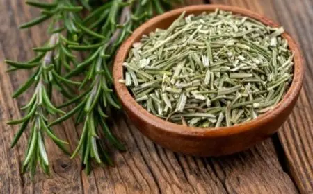 إكليل الجبل للحمل بتوأم