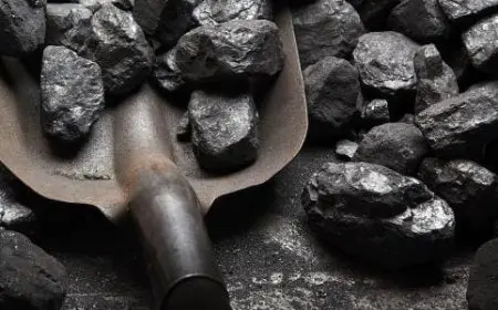 الفرق بين الفحم الحجري والفحم النباتي