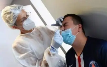 شعار بي تي اس