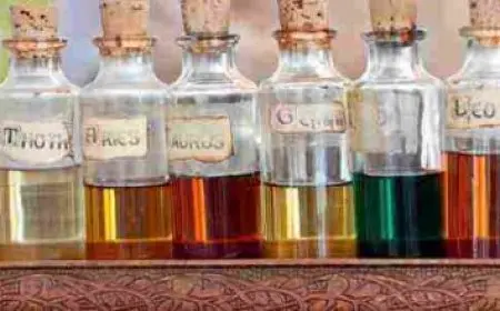 ابناء الملك عبدالعزيز