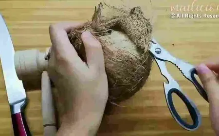 طريقة فتح جوز الهند