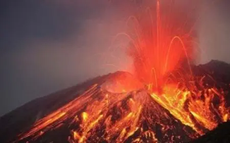 مميزات وعيوب كلاب الروت وايلر