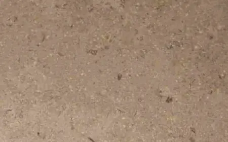 من هو وزير الداخليه