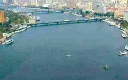 جهود المملكة في مكافحة كورونا