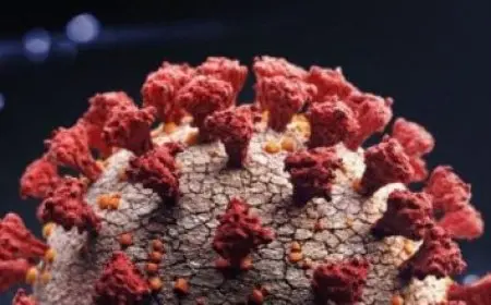 كلام غزل للحبيب بالعامية