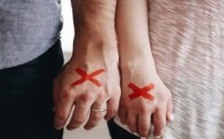 تربية القطط في المنزل