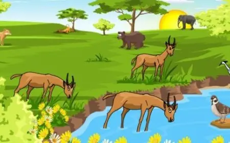 انتقال الطاقة في النظام البيئي كيف تتم؟