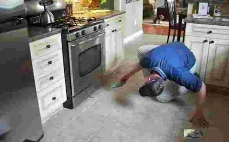 القضاء على الصراصير الصغيرة في المطبخ