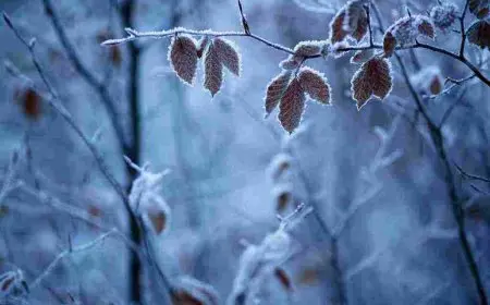 كم باقي على الشتاء 2024