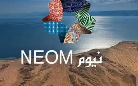 بحث عن مشروع نيوم