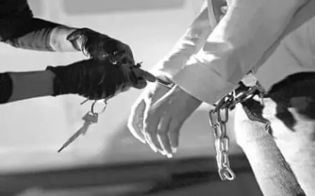 الجرائم التي لا تسقط بالتقادم