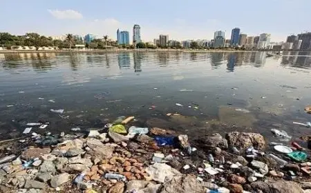 ما هي مصادر تلوث الماء