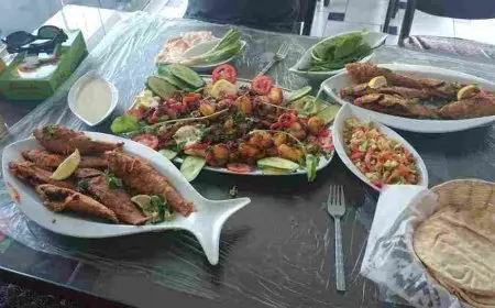 افضل مطعم سمك فى القاهرة