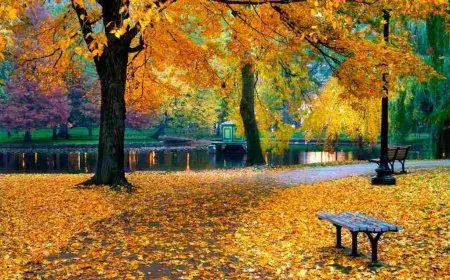 متى يبدأ فصل الخريف