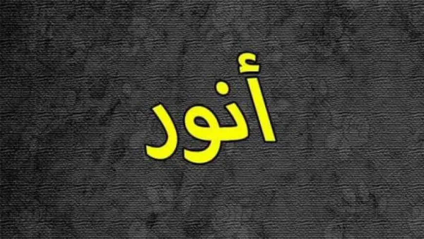 معنى اسم أنور