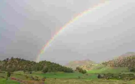 كم عدد ألوان قوس قزح؟