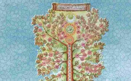 مميزات الأشراف في السعودية