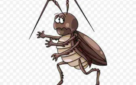 القضاء على الصراصير بالخل