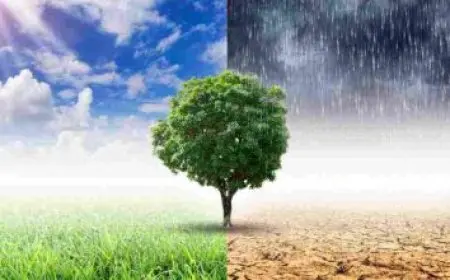 طريقة التخلص من الدود في المنزل