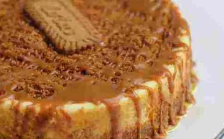 طريقة تشيز كيك اللوتس بالزبادي