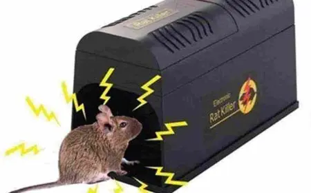 افضل سم لقتل الفئران