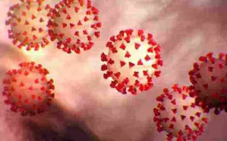 طريقة فحص الكورونا وأعراضه