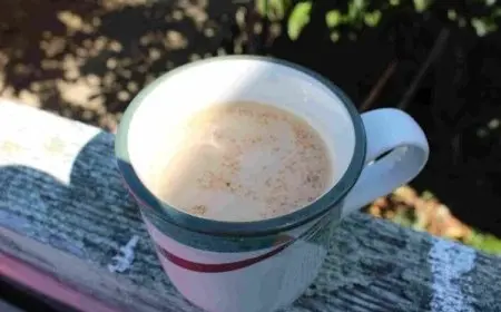 فوائد الزنجبيل مع الحليب