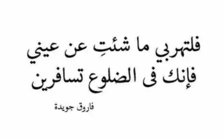 شعر فاروق جويدة وقصيدة مات الحب في مدينتي