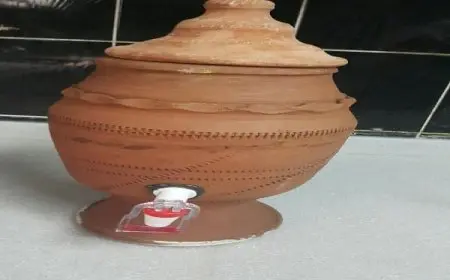 كيف أعرف زير الماء الأصلي