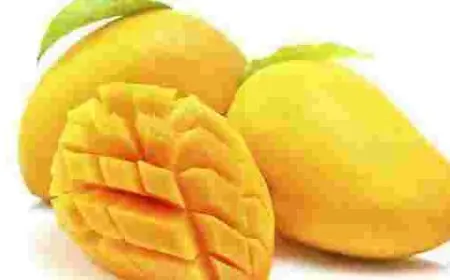 أفضل أنواع المانجو في العالم