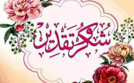 صيغة شهادة شكر وتقدير