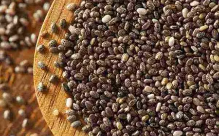 ما هي فوائد بذور الشيا ؟