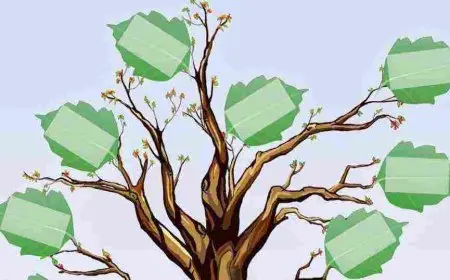 معرفة النسب عن طريق الاسم والرقم القومي