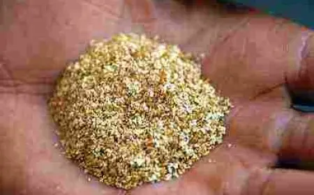 كيفية استخراج الذهب من الرمل الأسود