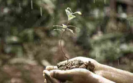 اقوال وحكم مأثورة عن الحياة