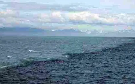 اين يقع مرج البحرين