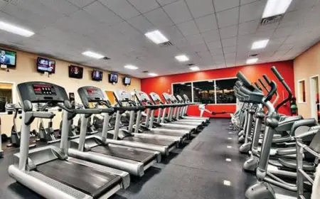 أسعار المشايات الرياضية في كارفور