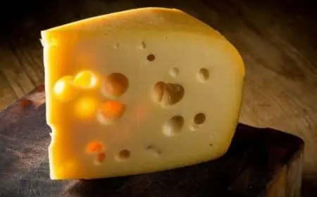 أفضل أنواع الجبن في السعودية