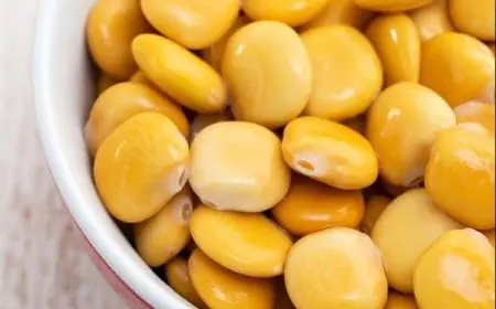 هل الترمس هو الذرة